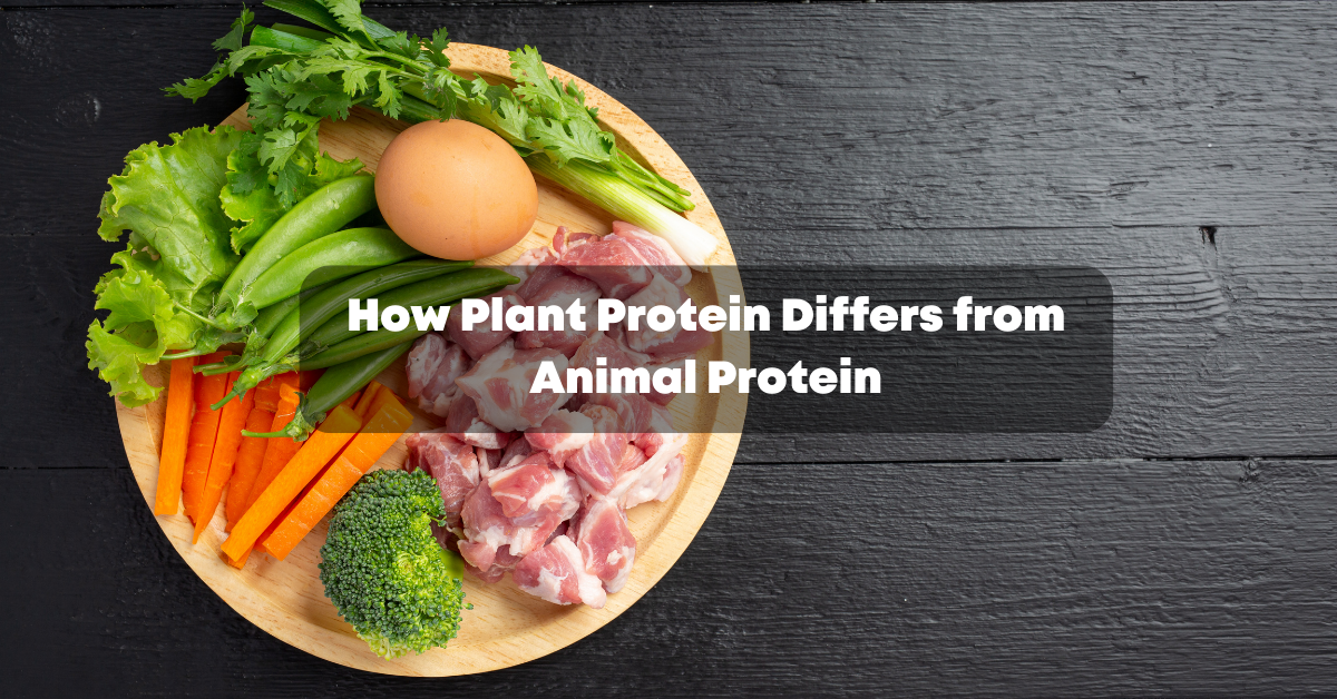 How Plant Protein Differs from Animal Protein