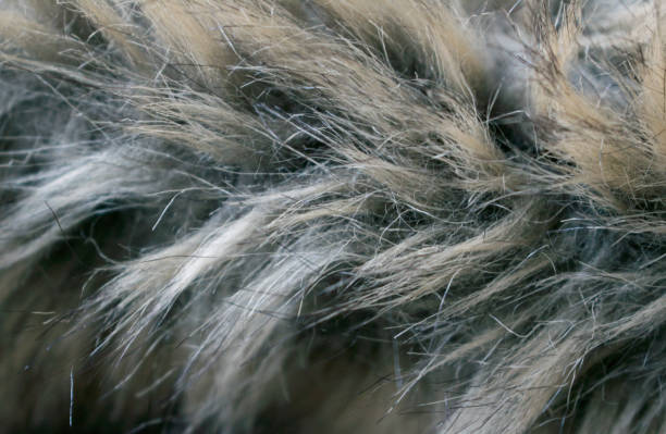 How to Maintain Faux Fur